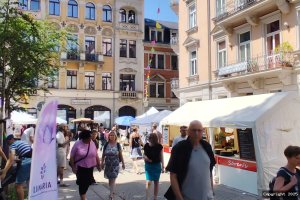 Bunter Sommer Neustadt 2025