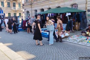 Bunter Sommer Neustadt 2025